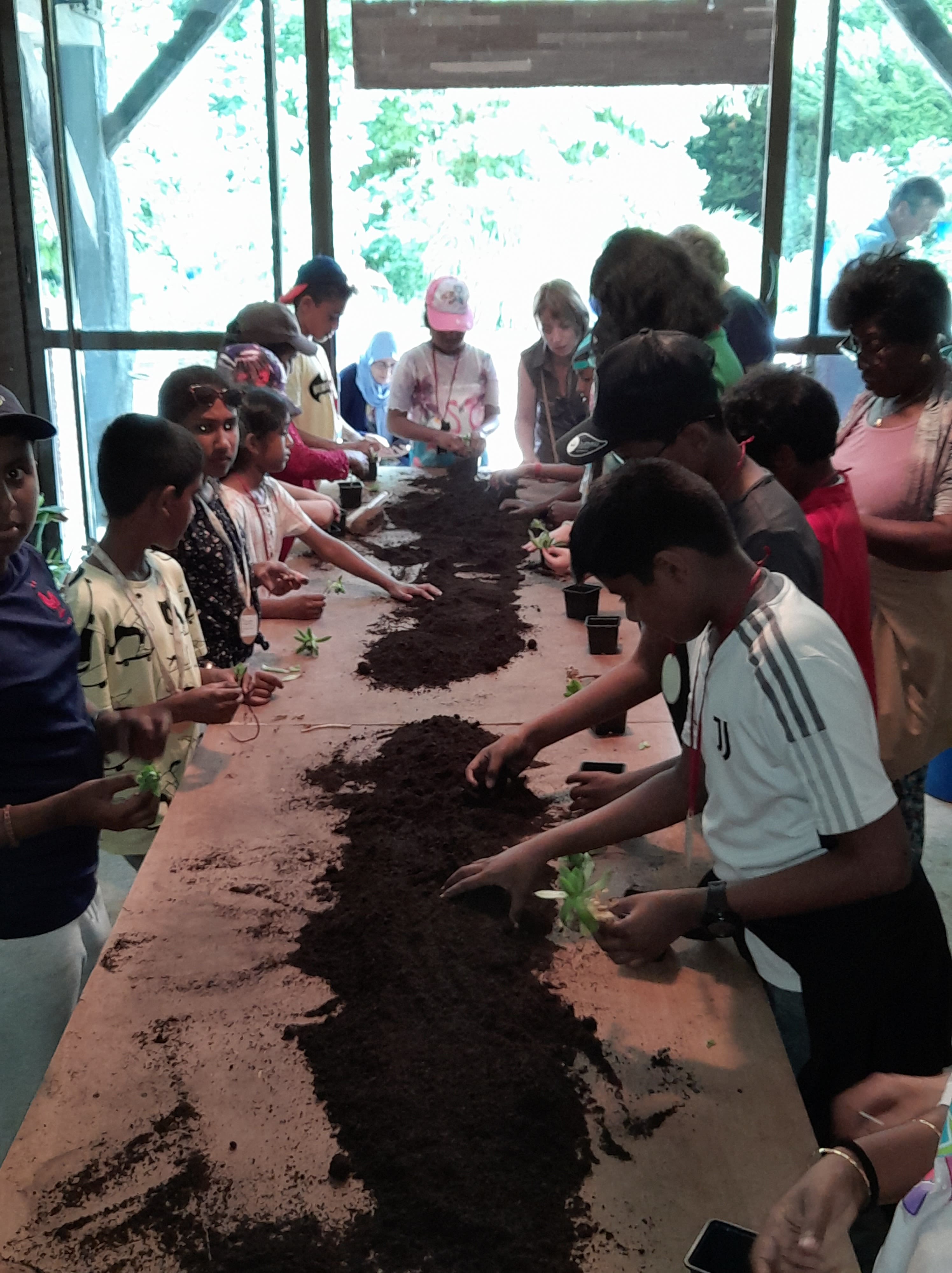 Des enfants font un atelier plantation.